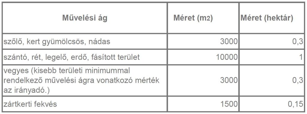 Képkivágás